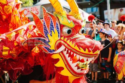 Chinese Dragons - Specialty Performers in Western Cape - photo 1 of 6