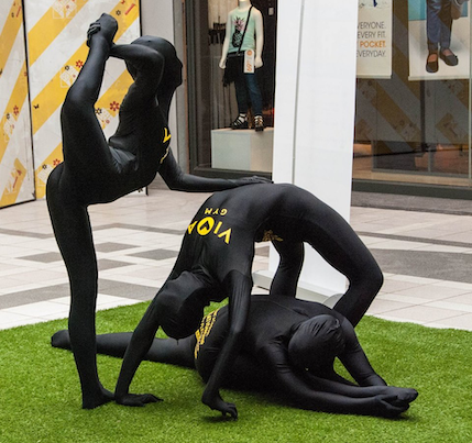 Bendy Girls - Specialty Performers in Western Cape - photo 1 of 6