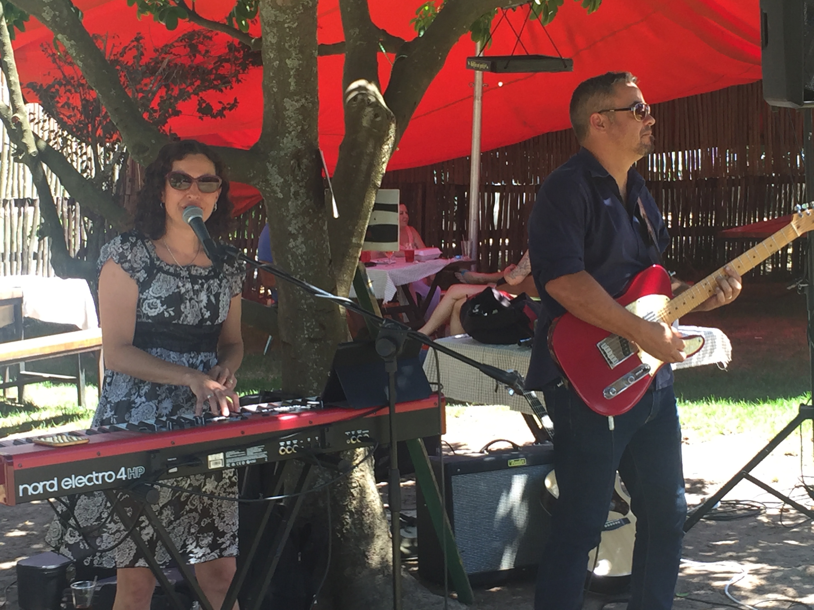 Tavarua - Musicians & Bands in Western Cape - photo 1 of 5